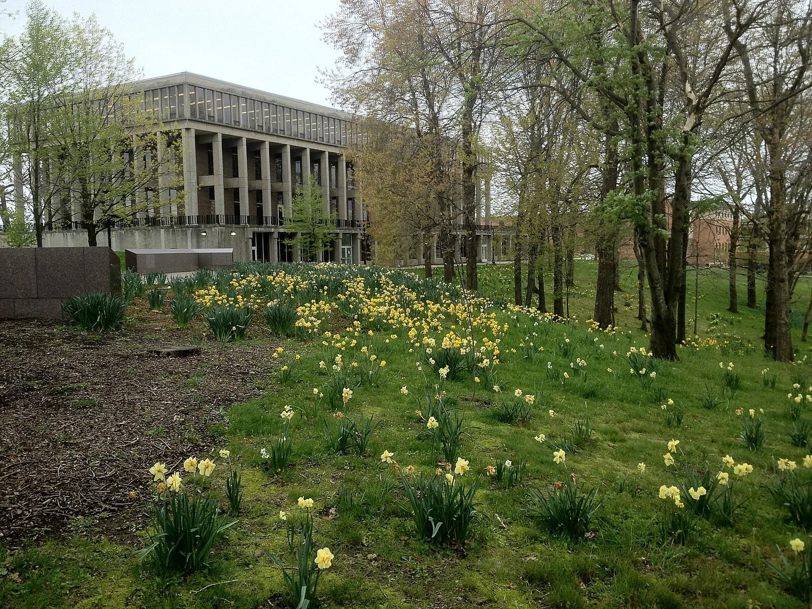 Campus image